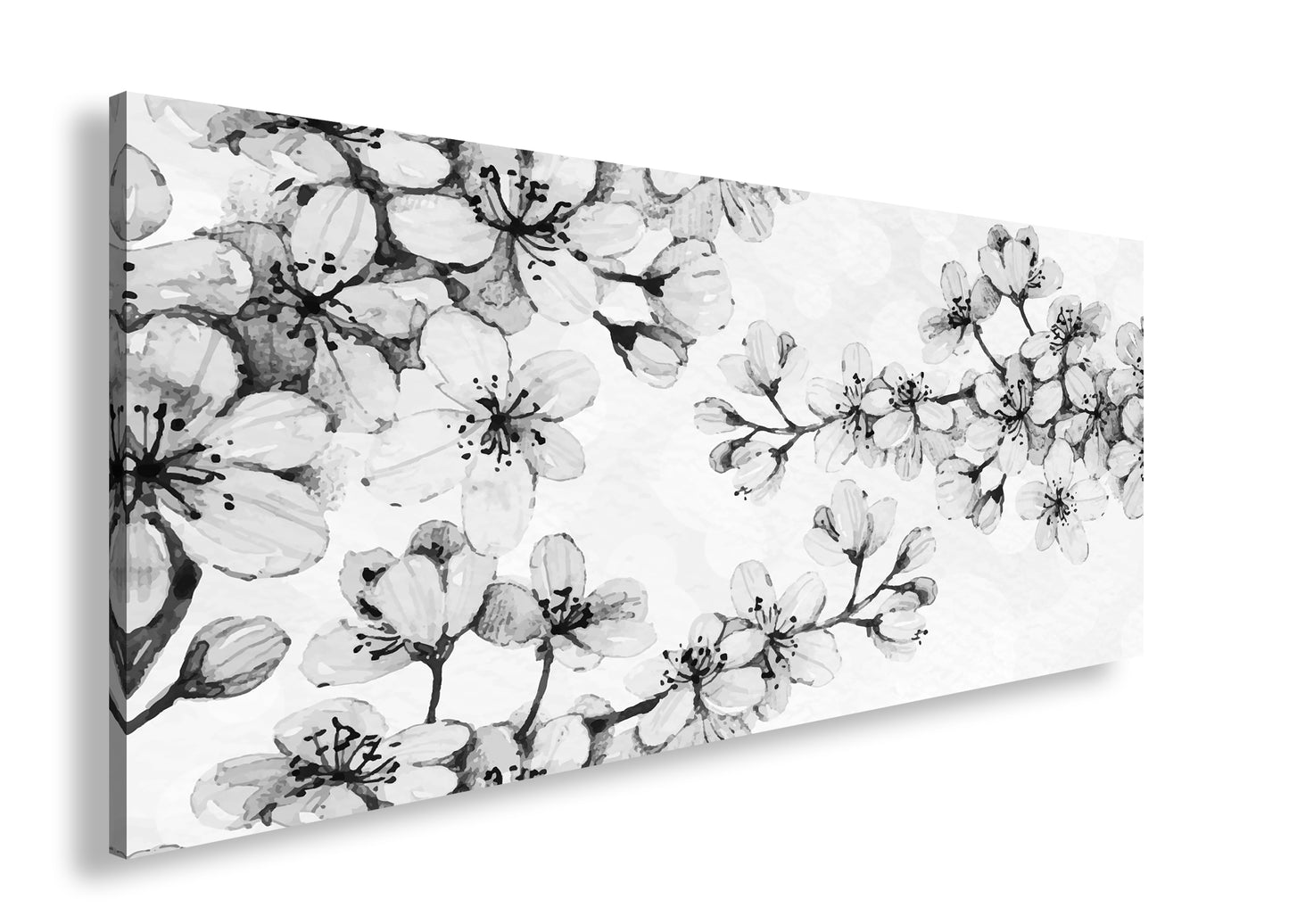 Hauptbild Schwarz & Weiß Panorama