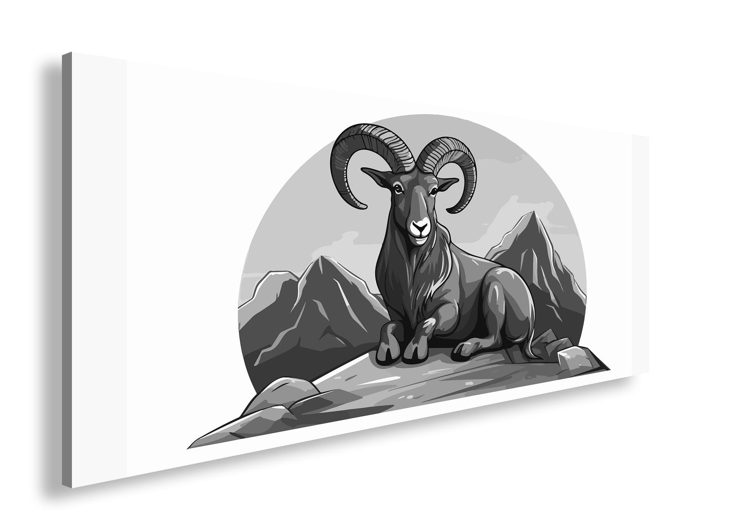 Hauptbild Schwarz & Weiß Panorama