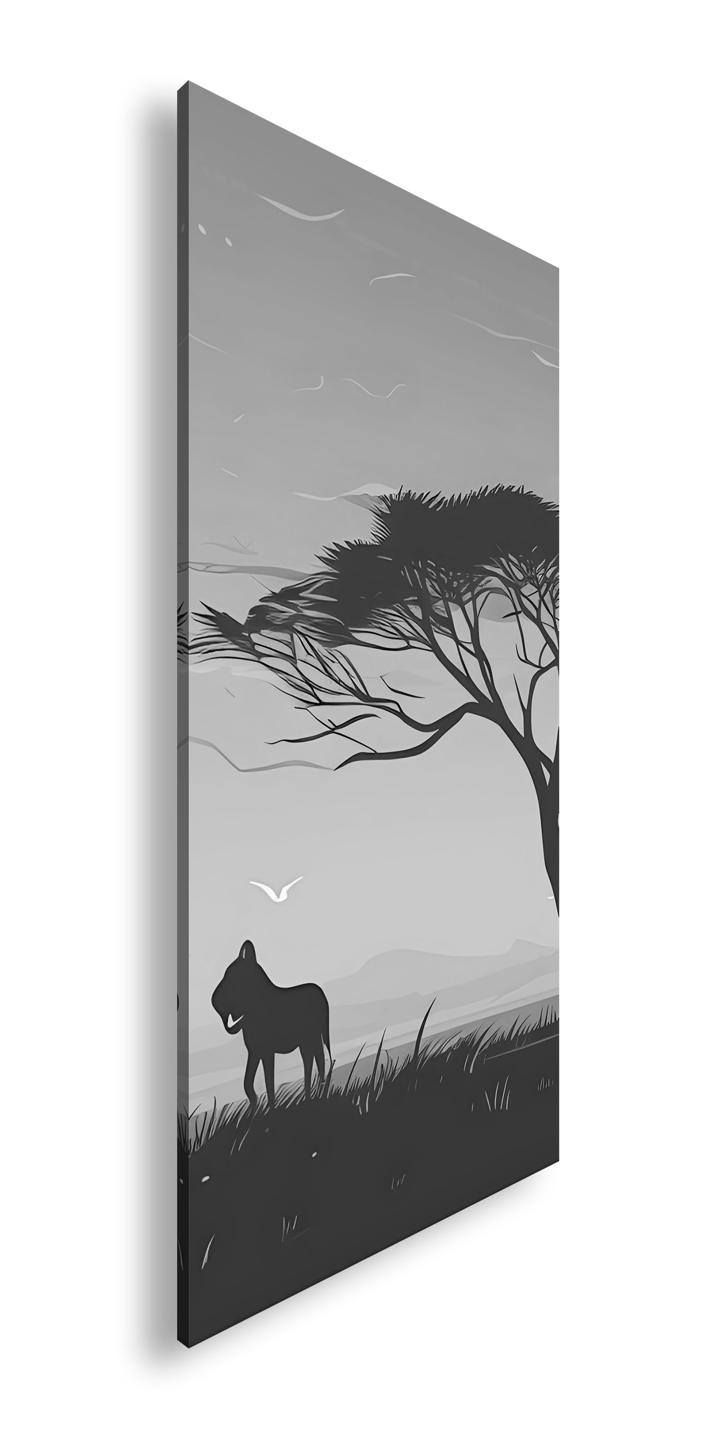 Hauptbild Schwarz & Weiß Panorama