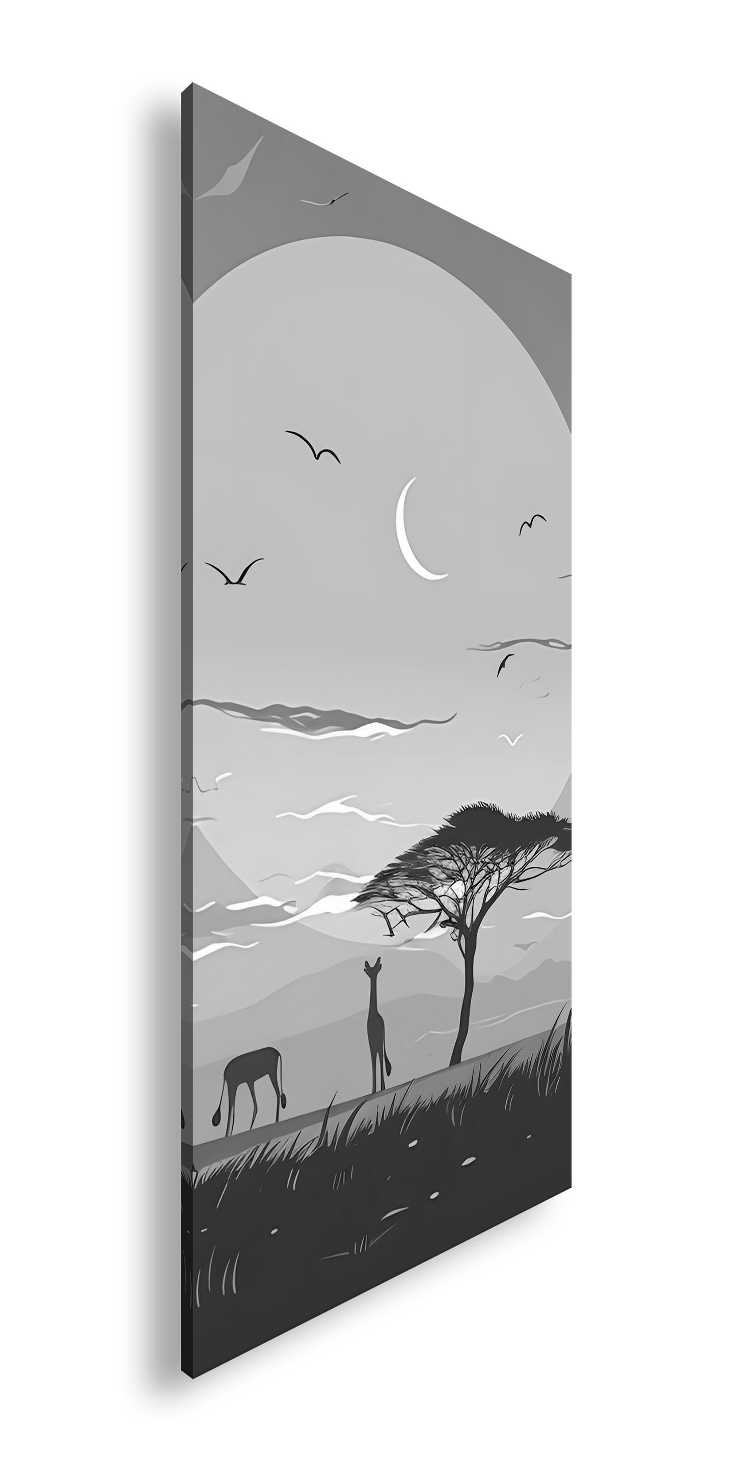 Hauptbild Schwarz & Weiß Panorama