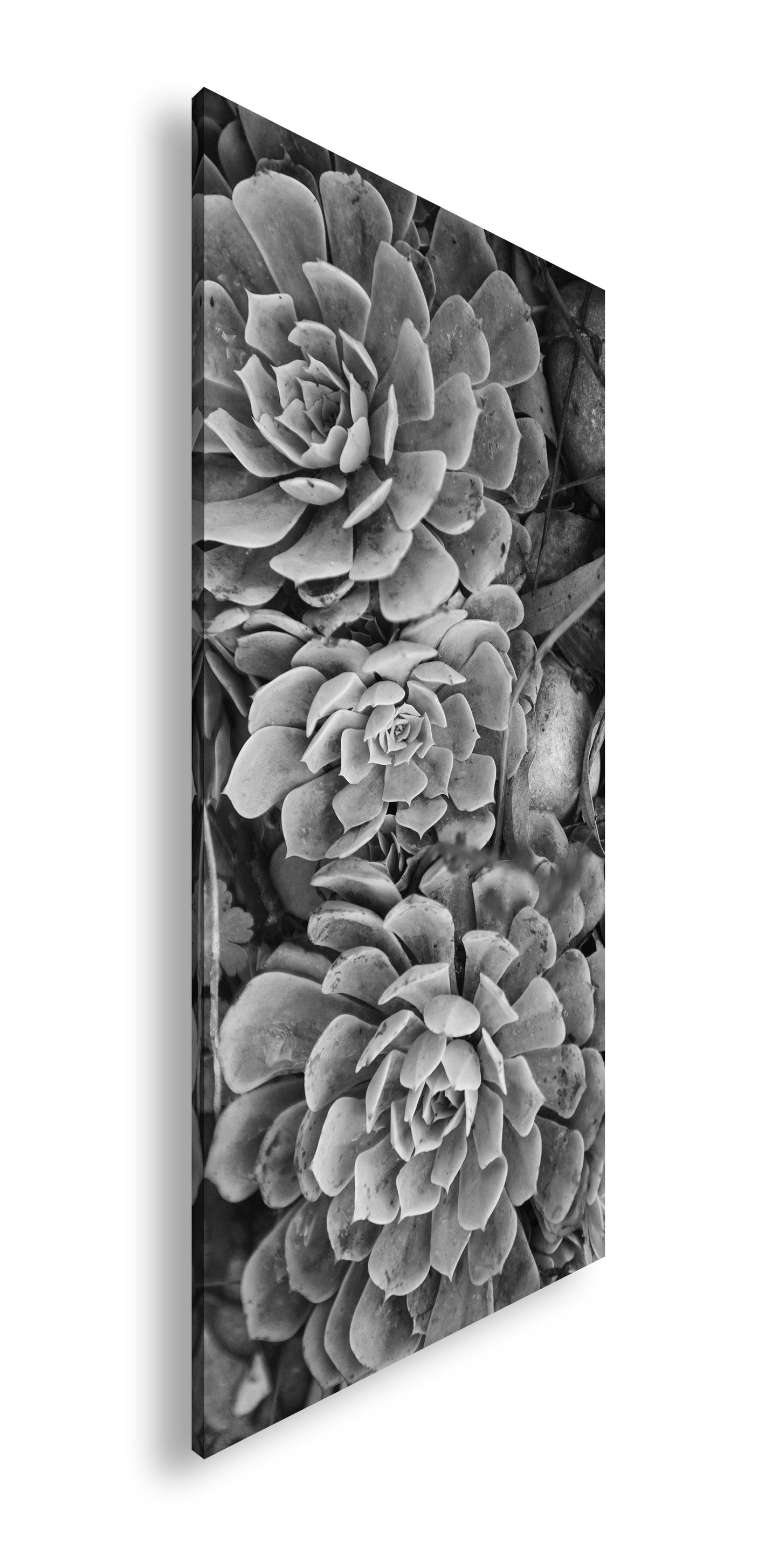 Hauptbild Schwarz & Weiß Panorama