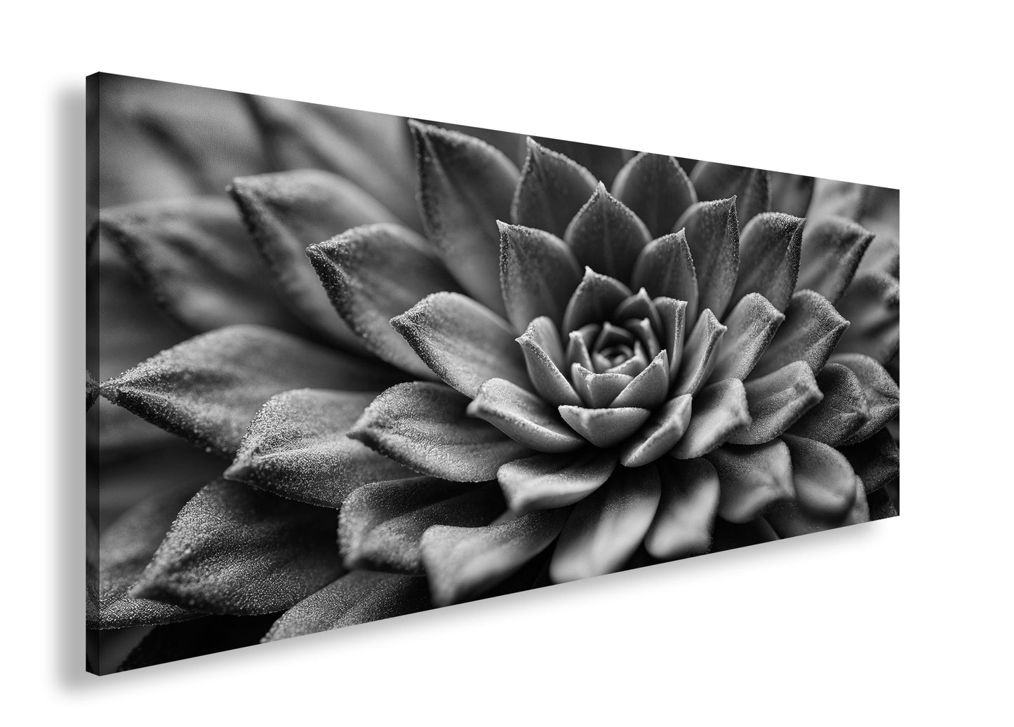 Hauptbild Schwarz & Weiß Panorama