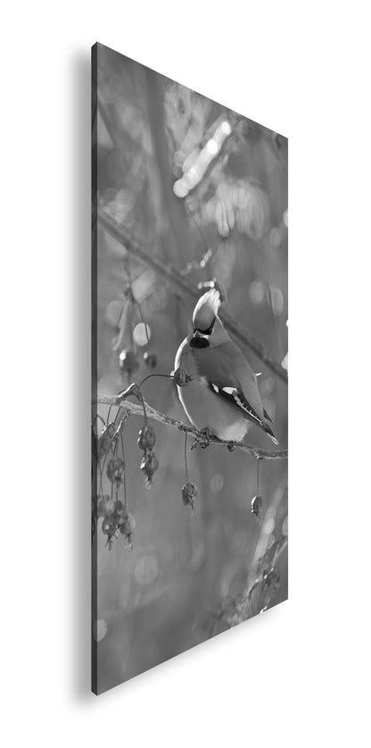 Hauptbild Schwarz & Weiß Panorama