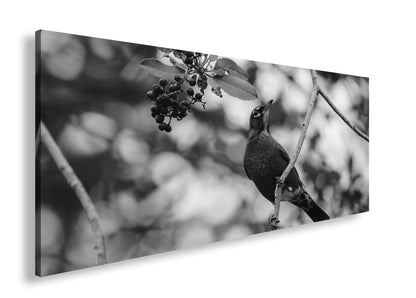 Hauptbild Schwarz & Weiß Panorama