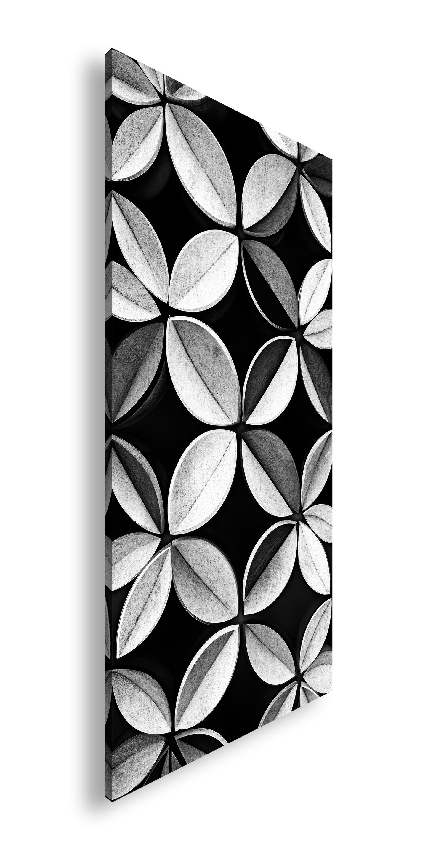 Hauptbild Schwarz & Weiß Panorama