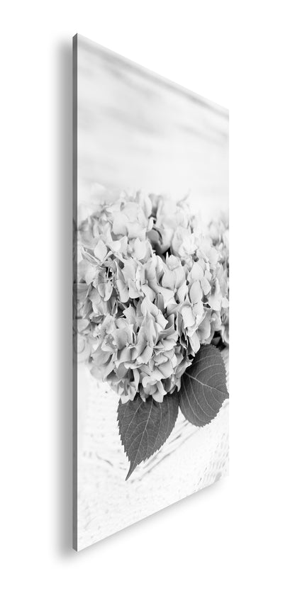 Hauptbild Schwarz & Weiß Panorama