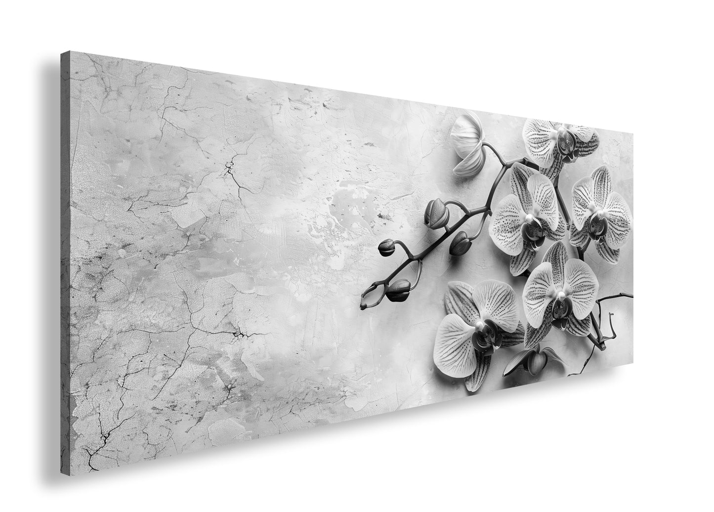 Hauptbild Schwarz & Weiß Panorama