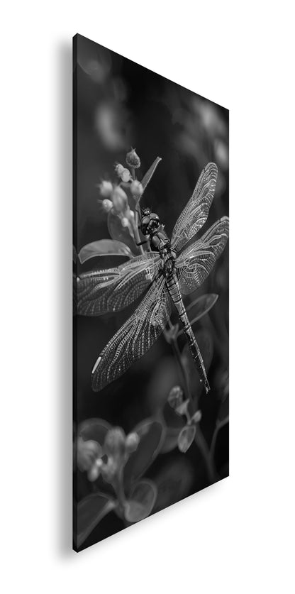 Hauptbild Schwarz & Weiß Panorama