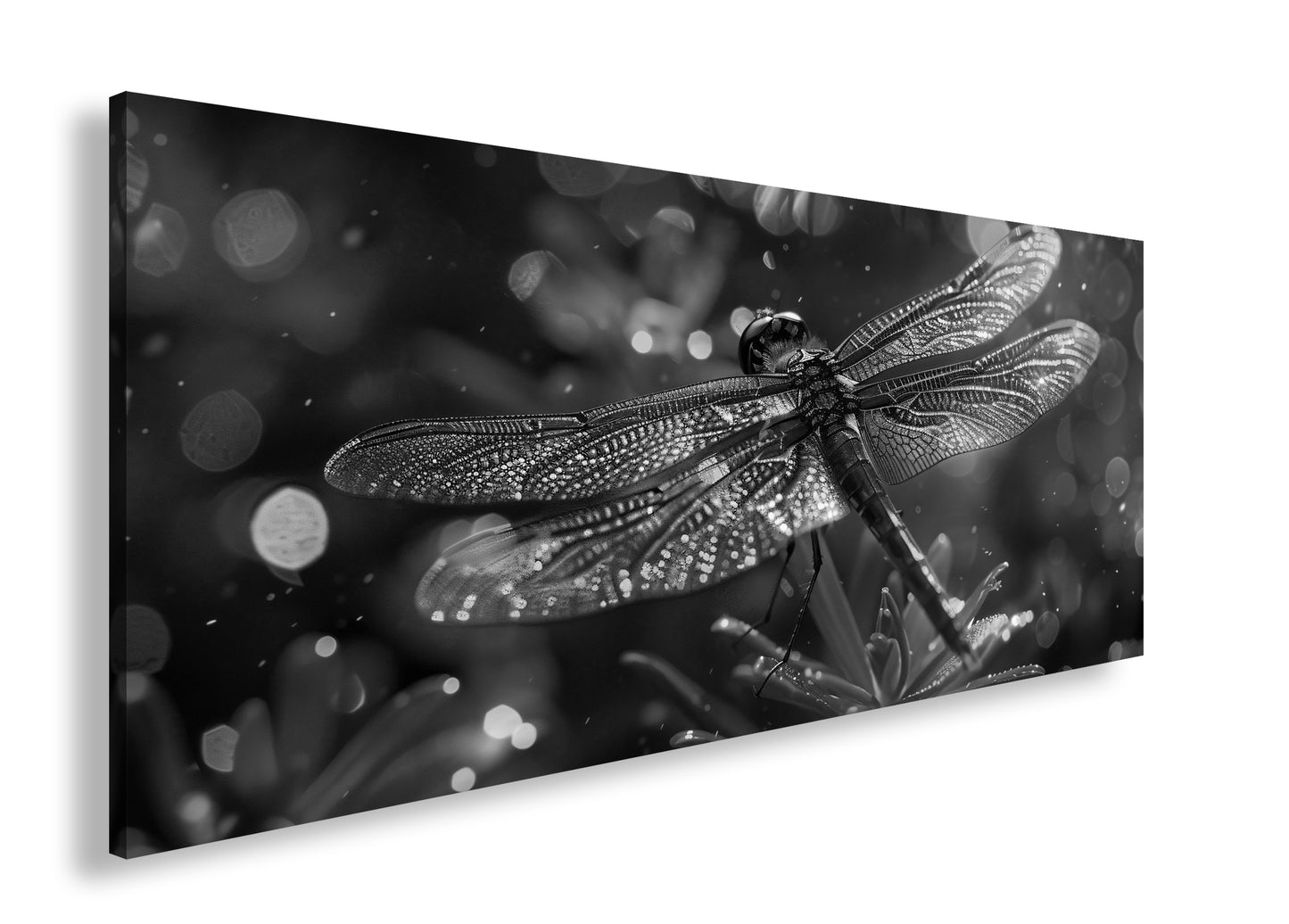 Hauptbild Schwarz & Weiß Panorama