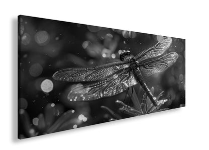 Hauptbild Schwarz & Weiß Panorama