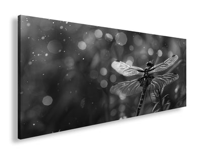 Hauptbild Schwarz & Weiß Panorama