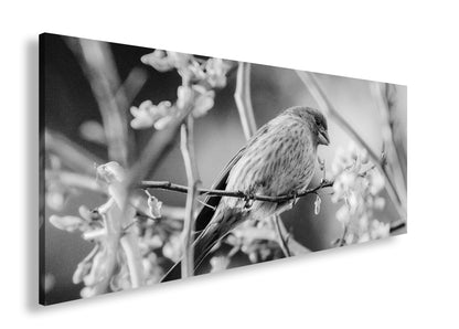 Hauptbild Schwarz & Weiß Panorama