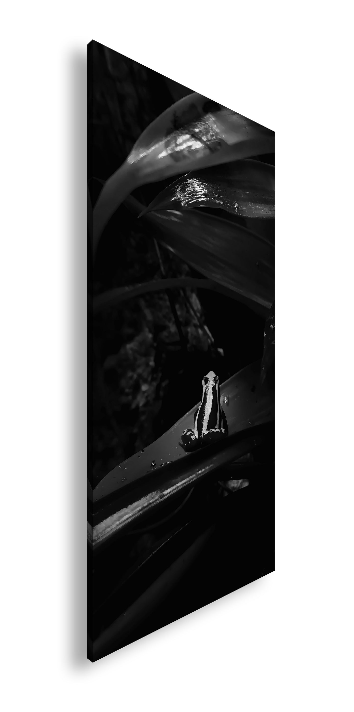 Hauptbild Schwarz & Weiß Panorama