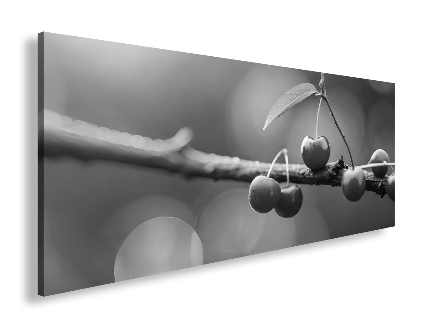 Hauptbild Schwarz & Weiß Panorama