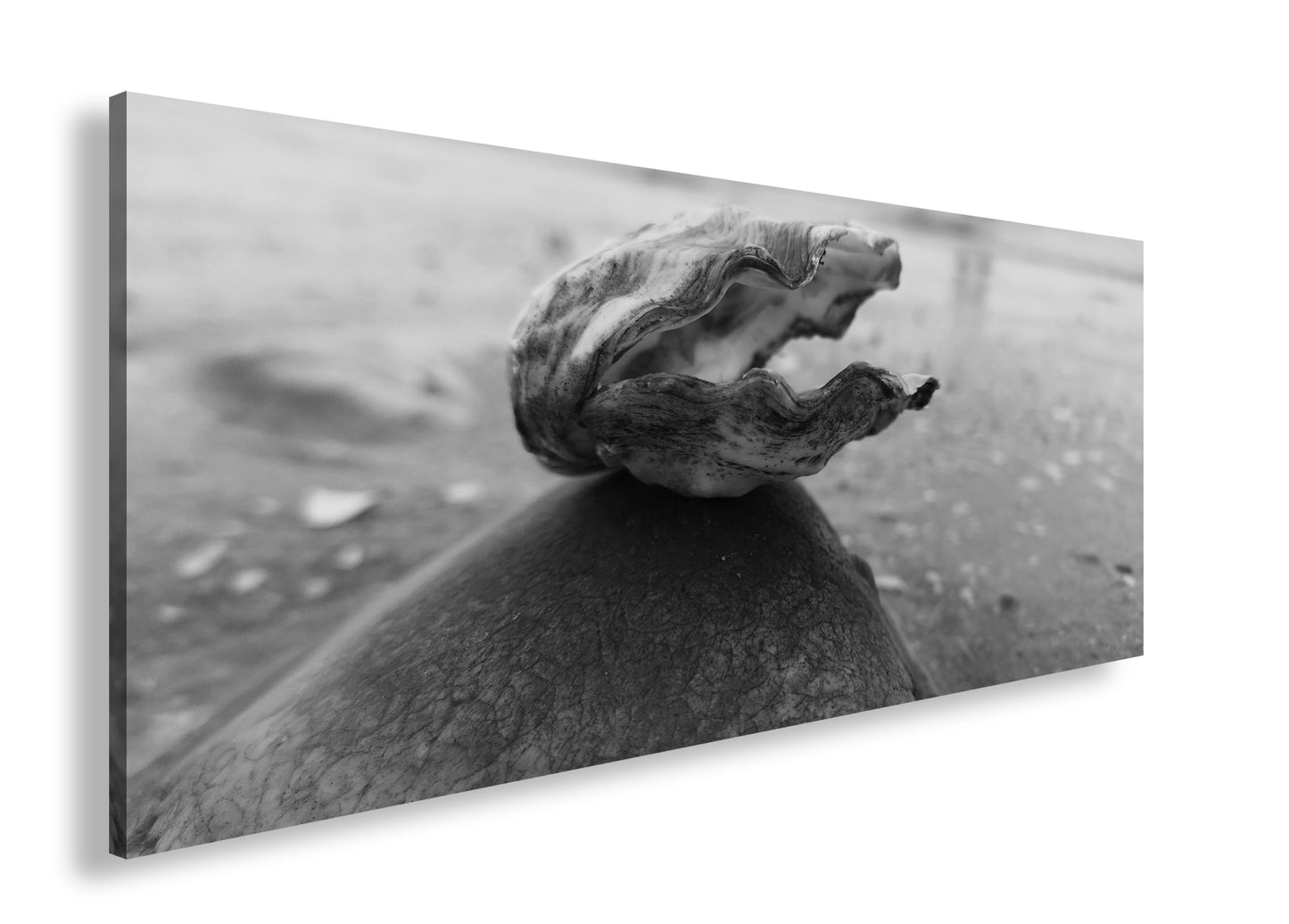 Hauptbild Schwarz & Weiß Panorama