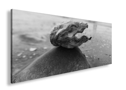 Hauptbild Schwarz & Weiß Panorama