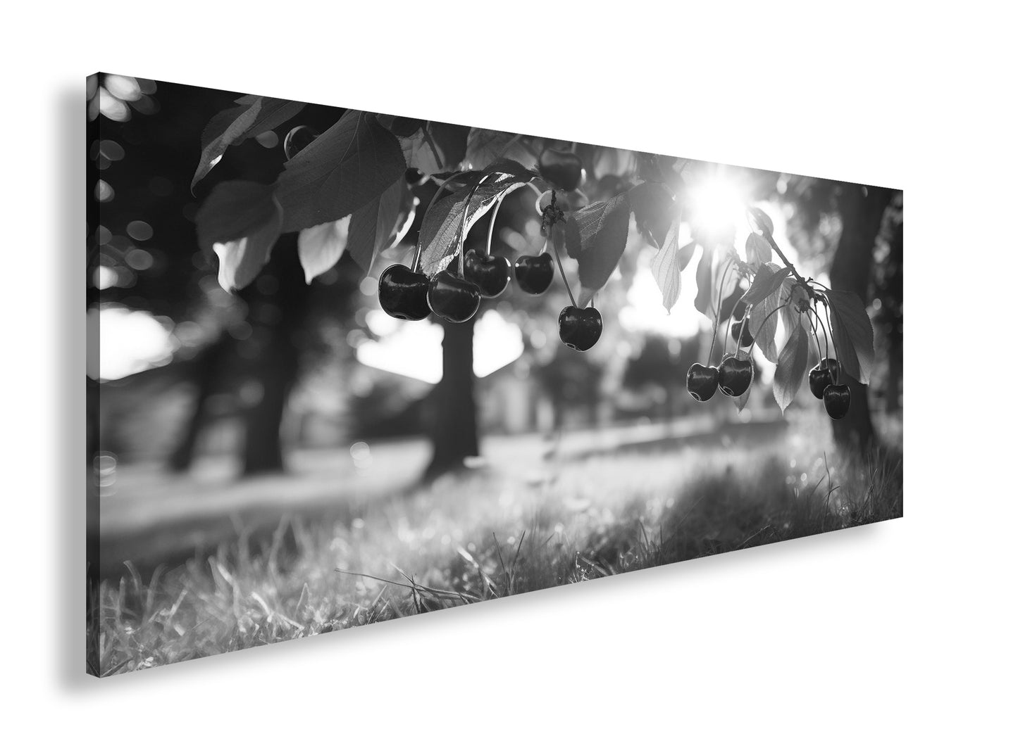 Hauptbild Schwarz & Weiß Panorama