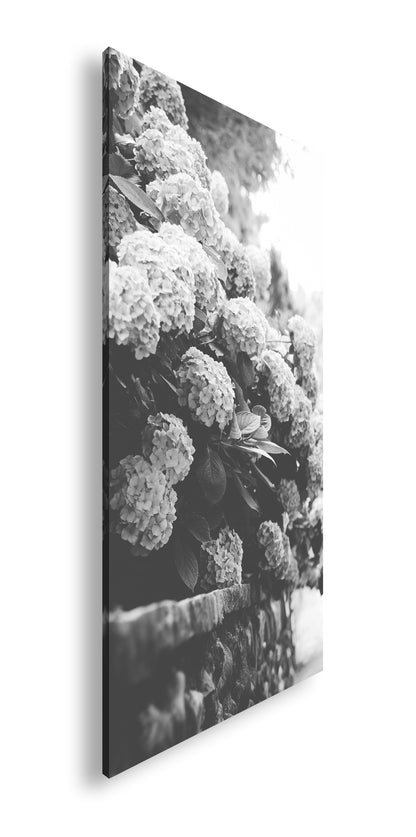 Hauptbild Schwarz & Weiß Panorama