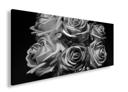 Hauptbild Schwarz & Weiß Panorama