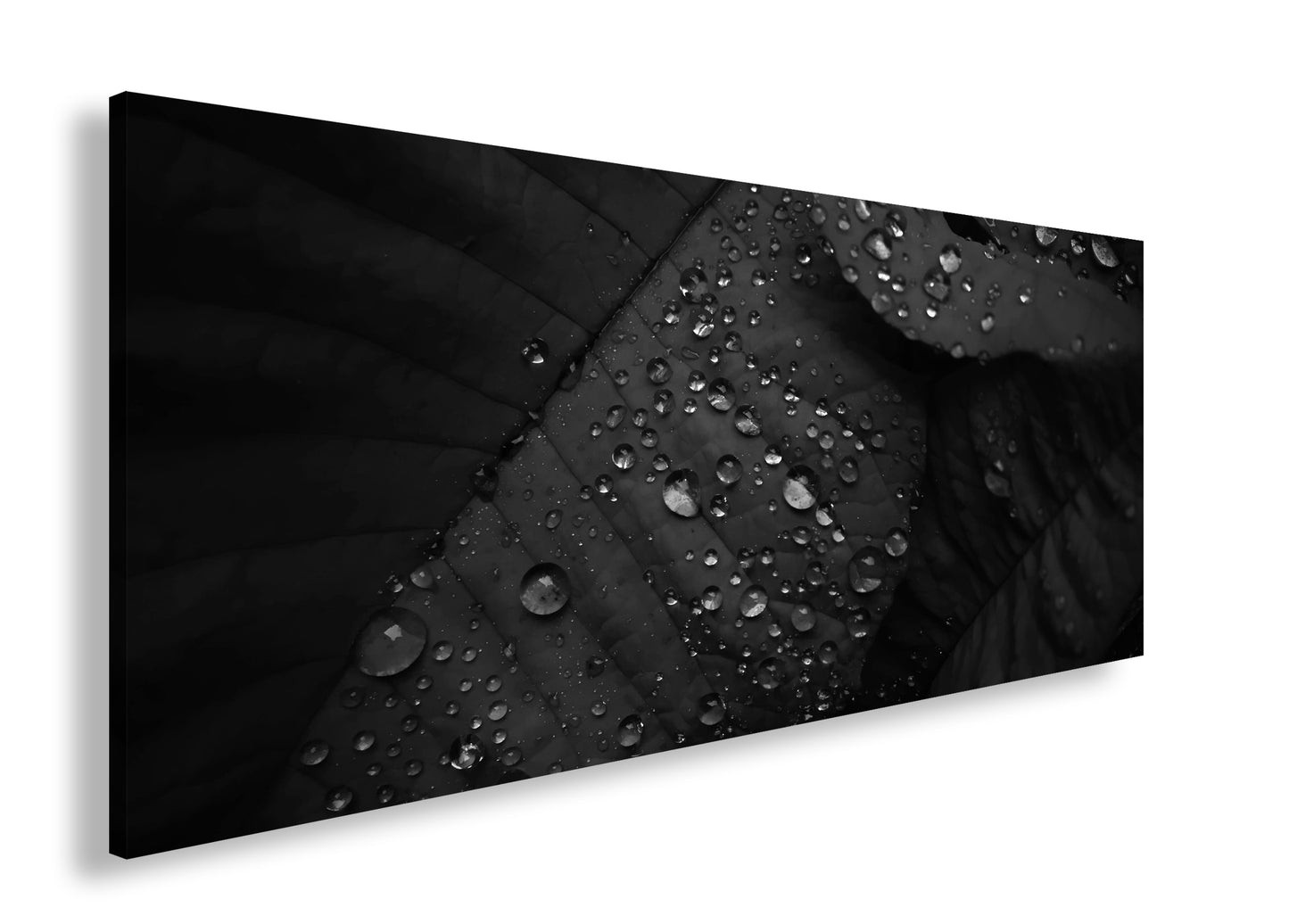 Hauptbild Schwarz & Weiß Panorama