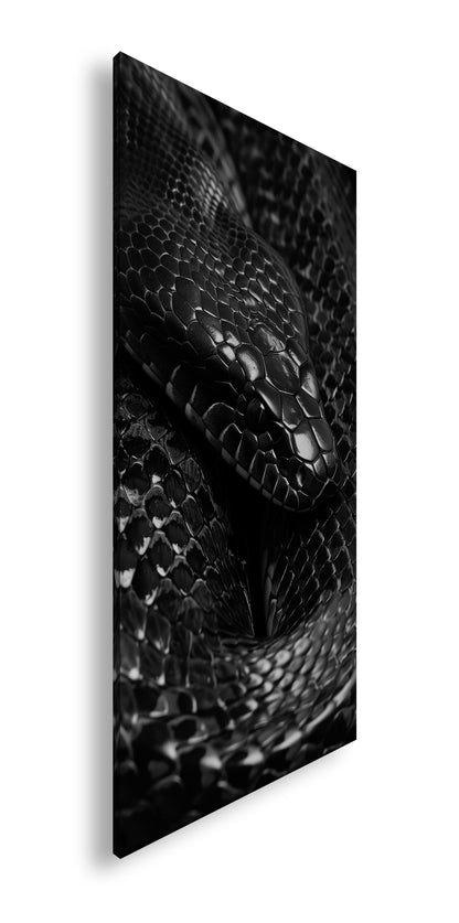 Hauptbild Schwarz & Weiß Panorama