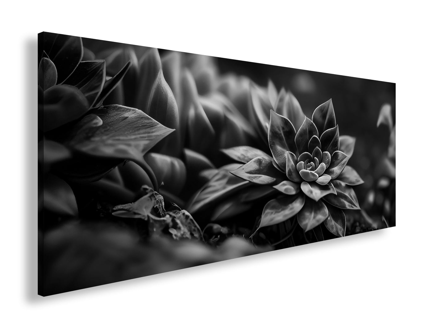 Hauptbild Schwarz & Weiß Panorama