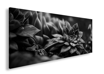 Hauptbild Schwarz & Weiß Panorama