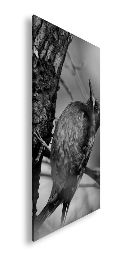 Hauptbild Schwarz & Weiß Panorama