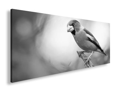 Hauptbild Schwarz & Weiß Panorama