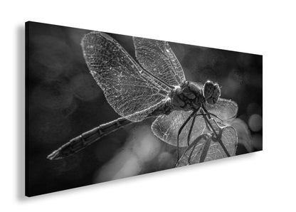 Hauptbild Schwarz & Weiß Panorama