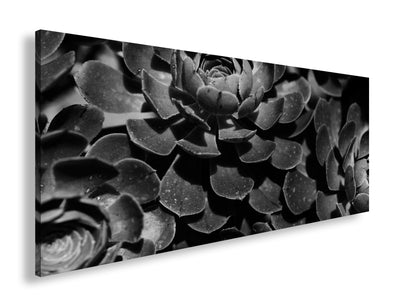 Hauptbild Schwarz & Weiß Panorama