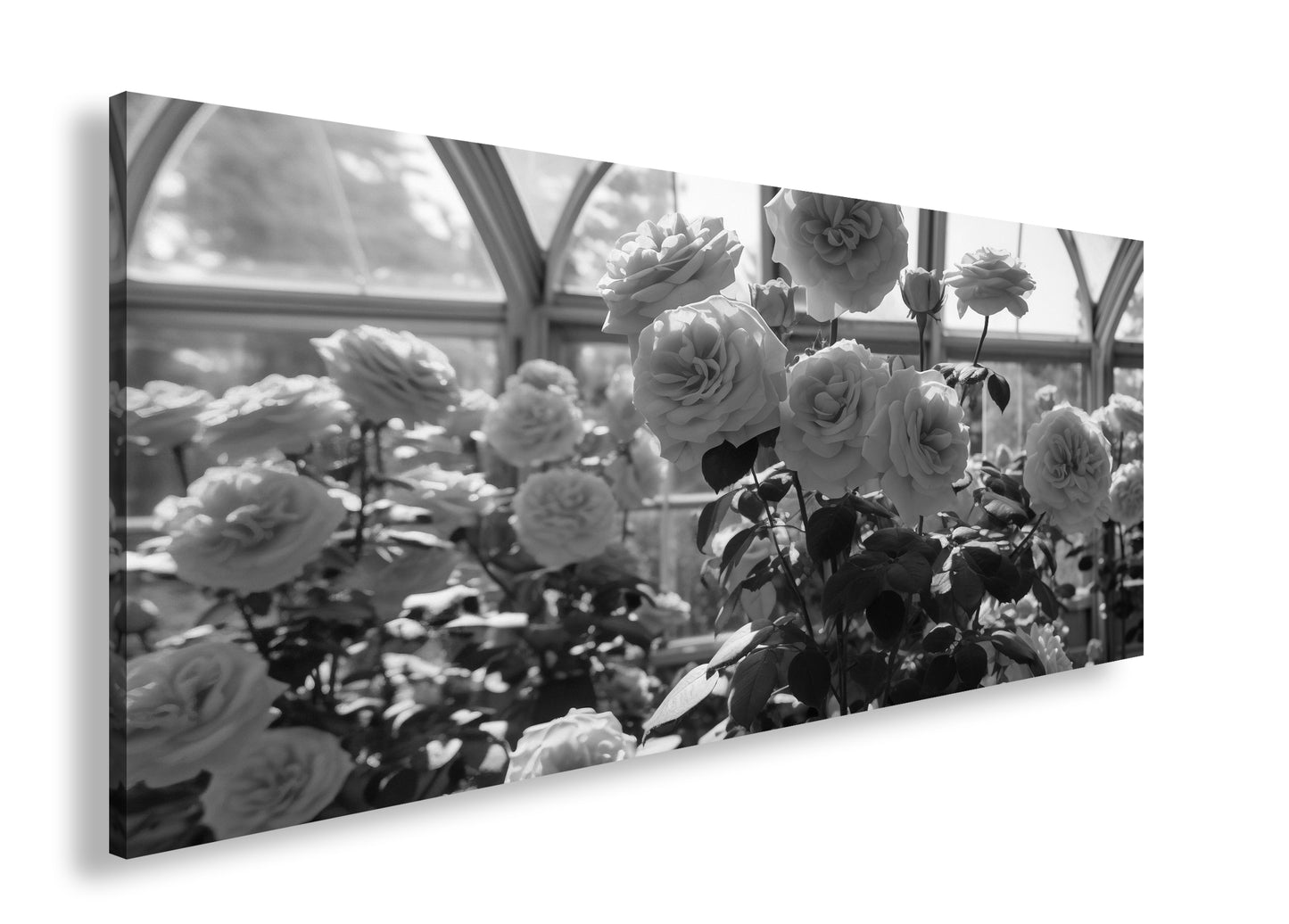 Hauptbild Schwarz & Weiß Panorama