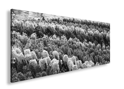 Hauptbild Schwarz & Weiß Panorama