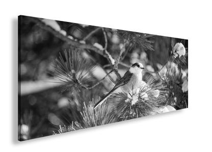 Hauptbild Schwarz & Weiß Panorama