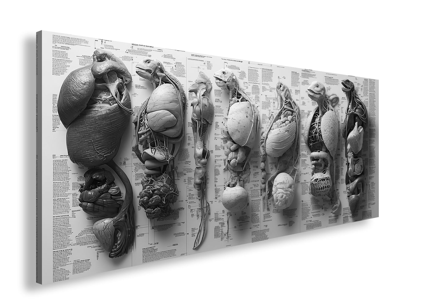 Hauptbild Schwarz & Weiß Panorama