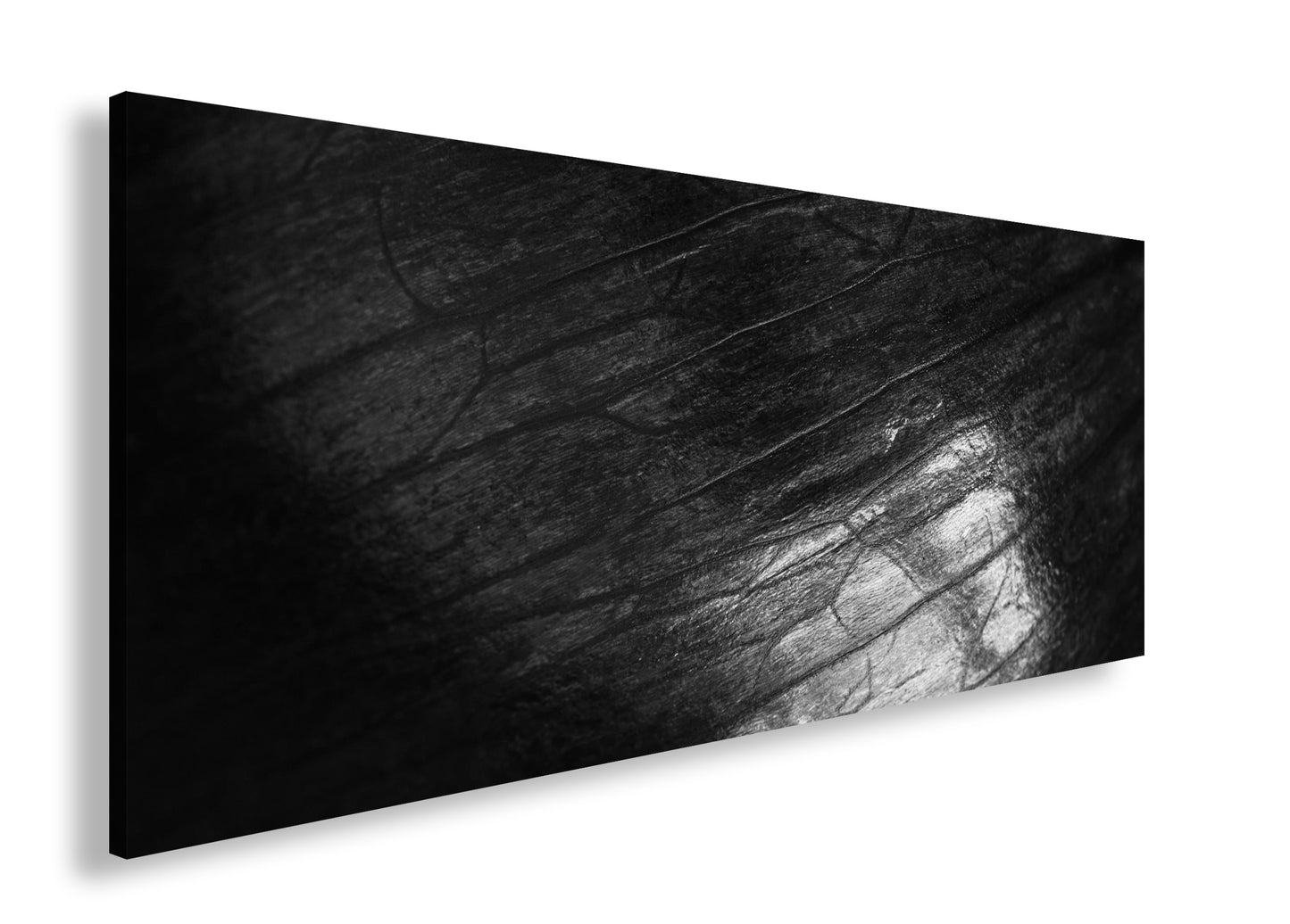 Hauptbild Schwarz & Weiß Panorama