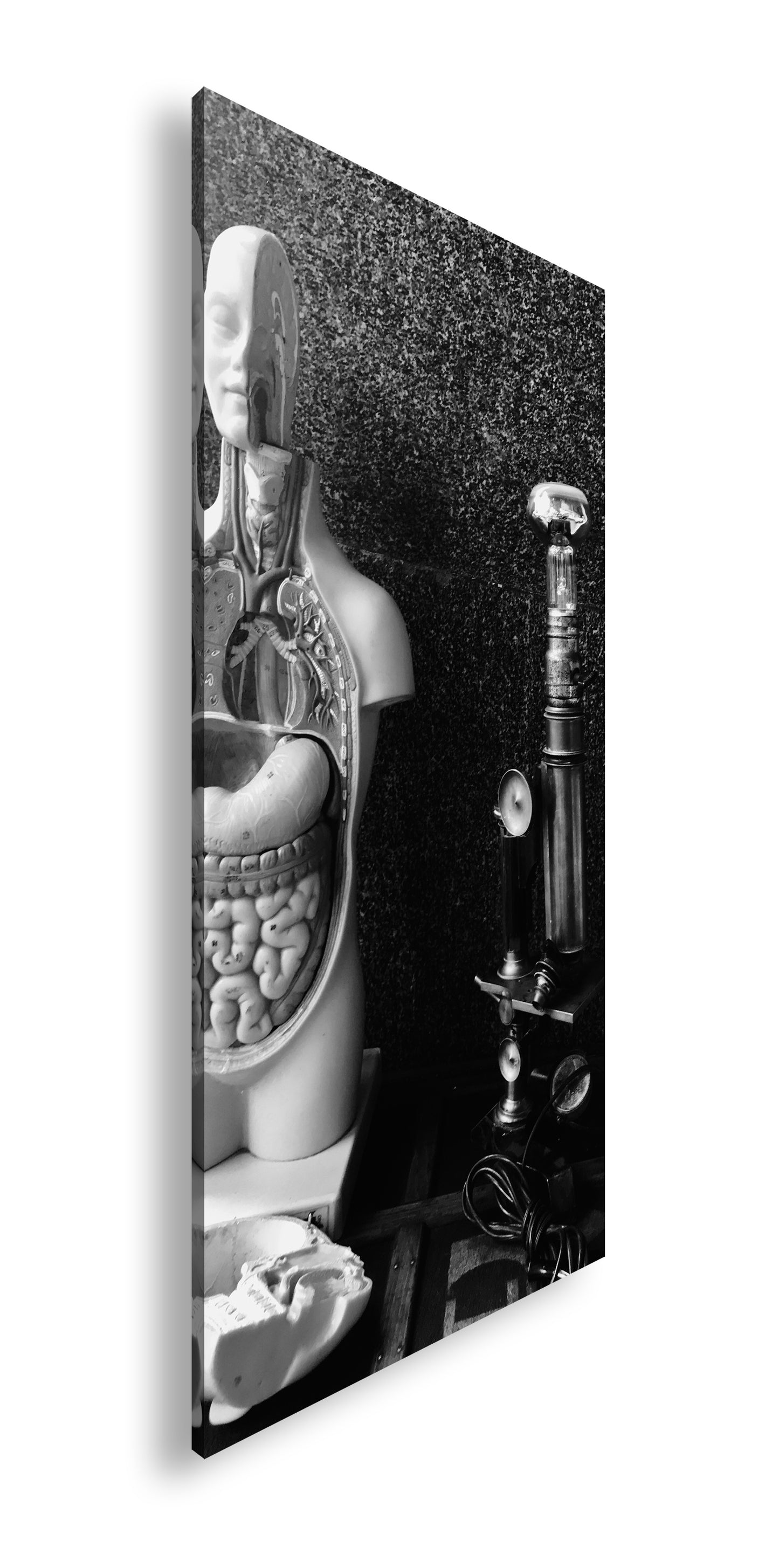 Hauptbild Schwarz & Weiß Panorama