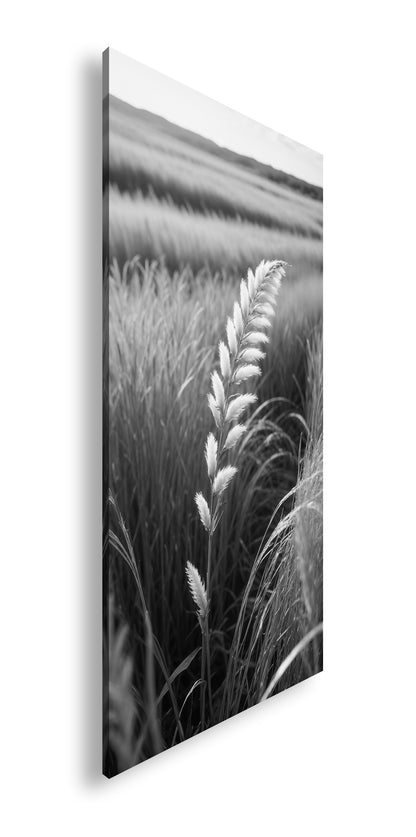 Hauptbild Schwarz & Weiß Panorama