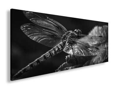 Hauptbild Schwarz & Weiß Panorama