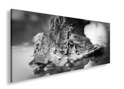 Hauptbild Schwarz & Weiß Panorama