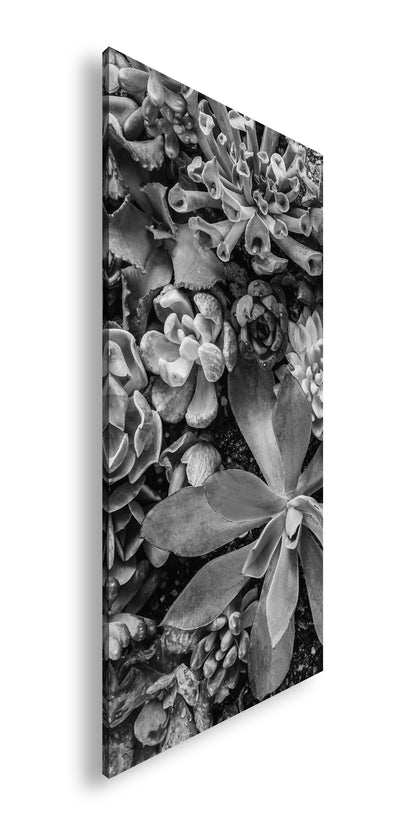 Hauptbild Schwarz & Weiß Panorama