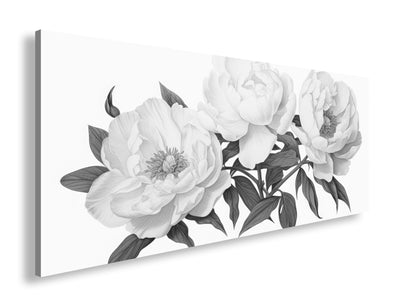 Hauptbild Schwarz & Weiß Panorama