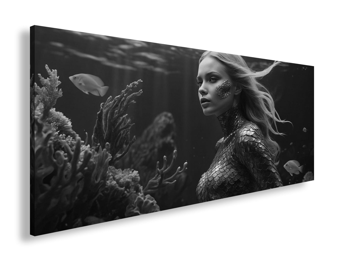 Hauptbild Schwarz & Weiß Panorama