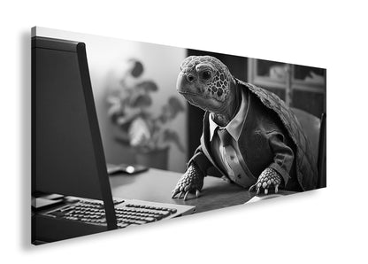 Hauptbild Schwarz & Weiß Panorama