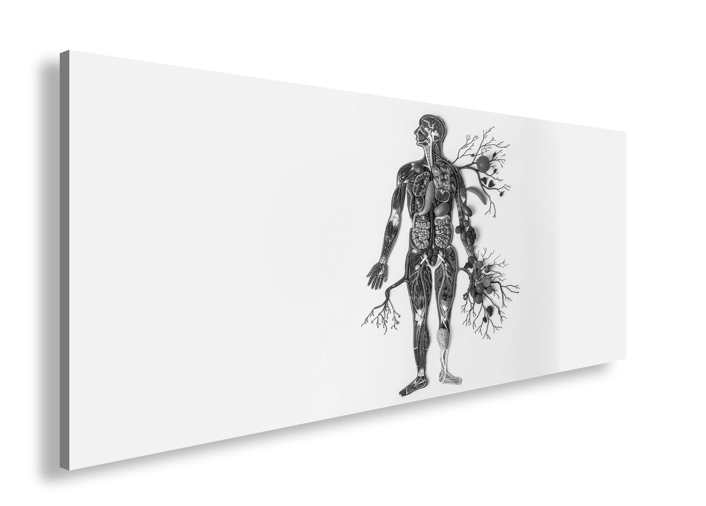 Hauptbild Schwarz & Weiß Panorama