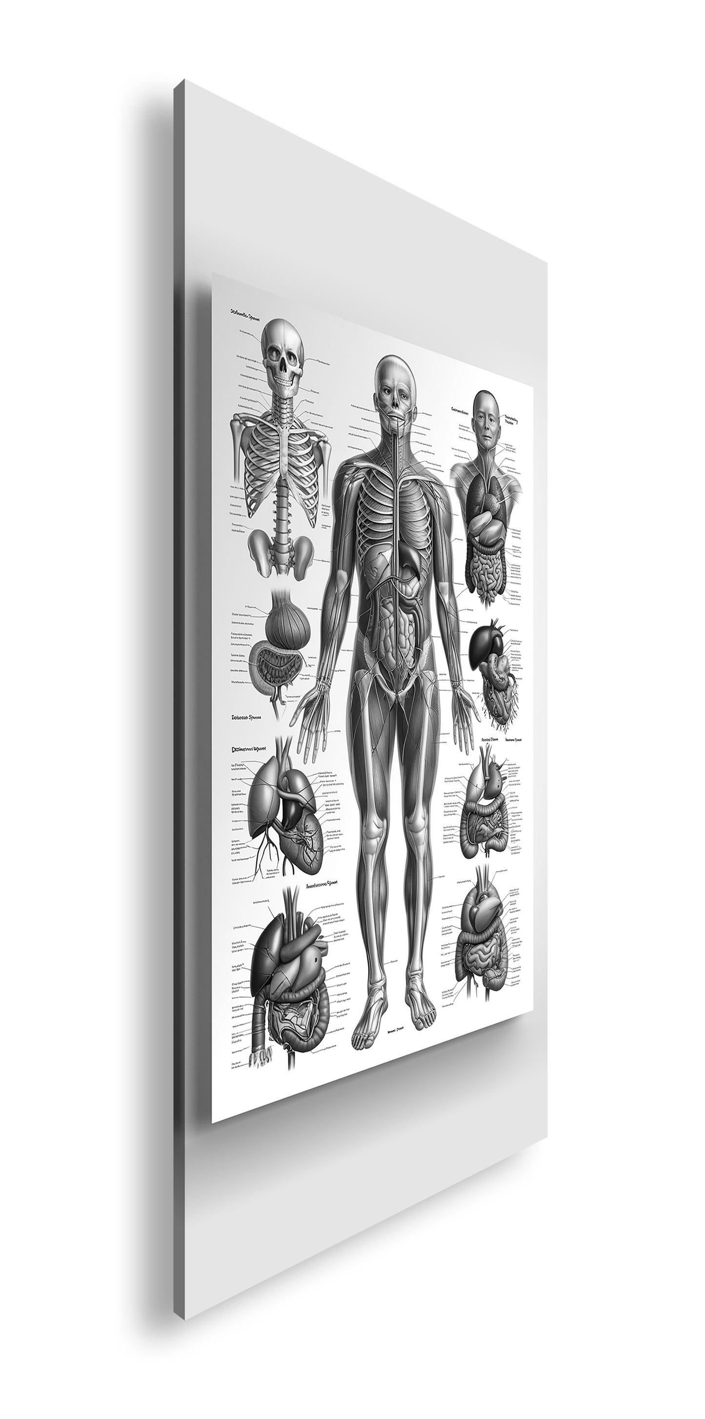 Hauptbild Schwarz & Weiß Panorama