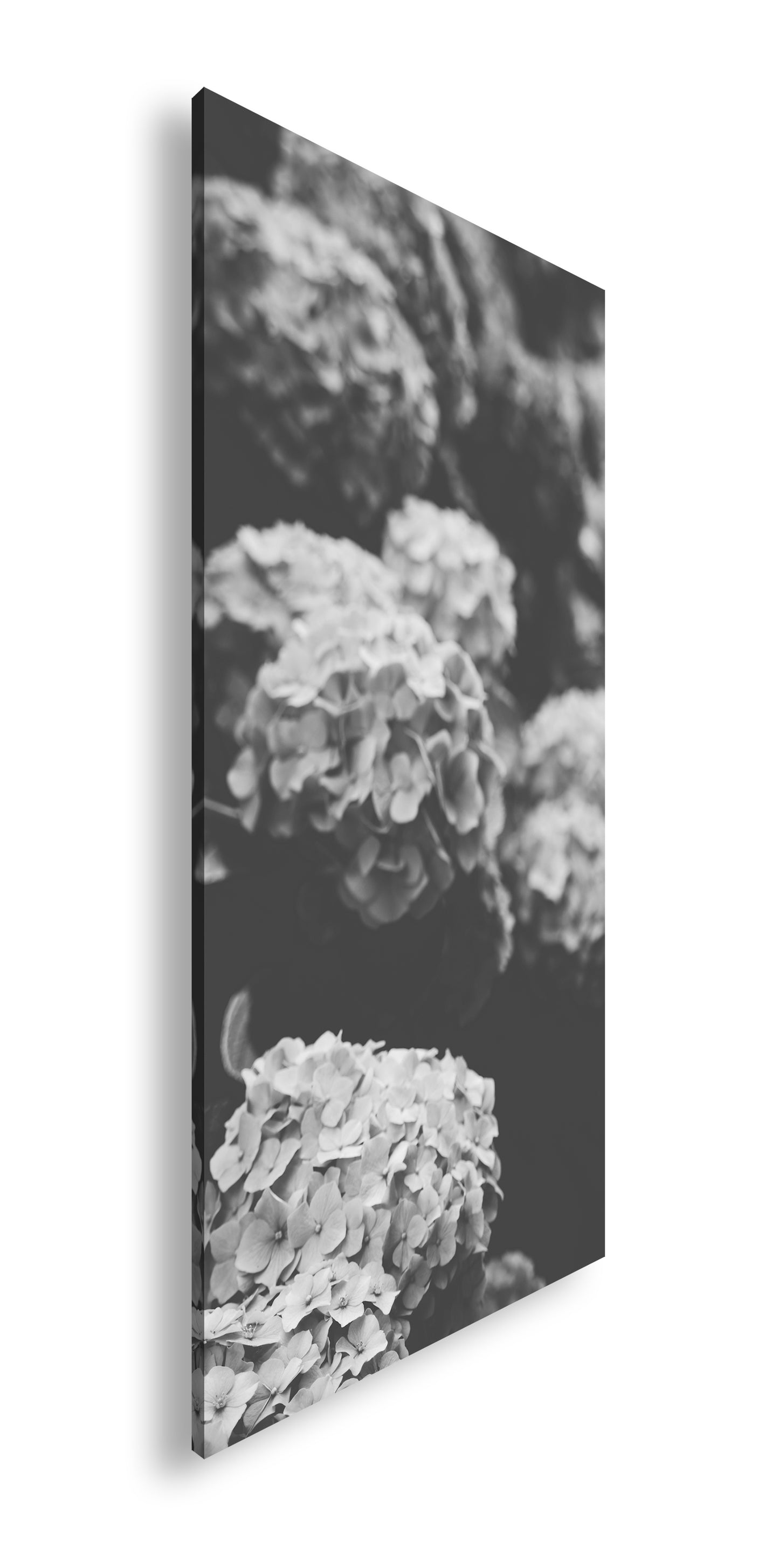 Hauptbild Schwarz & Weiß Panorama