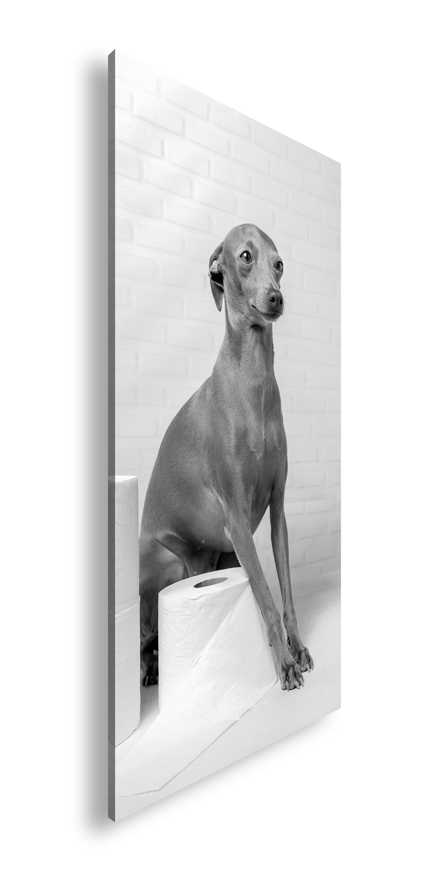 Hauptbild Schwarz & Weiß Panorama