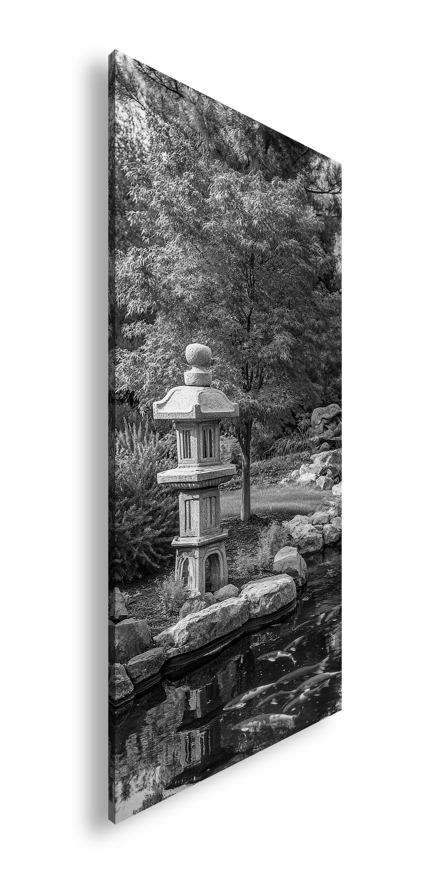 Hauptbild Schwarz & Weiß Panorama