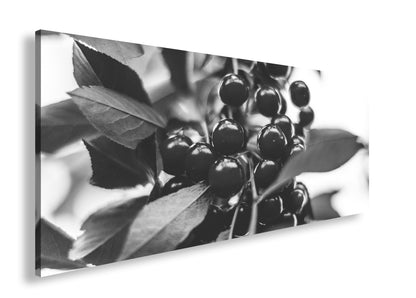 Hauptbild Schwarz & Weiß Panorama